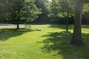 Photo: 084, South Lake Campground