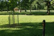 Photo: 106, Six Pines Campground