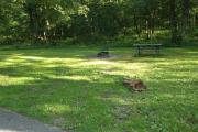Photo: 107, Six Pines Campground