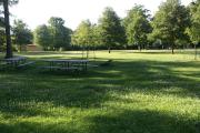 Photo: Y110, Six Pines Campground