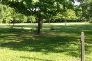 Photo: 122, Six Pines Campground