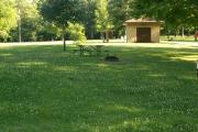 Photo: 124, Six Pines Campground