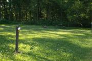 Photo: 125, Six Pines Campground