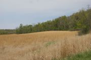 Photo: Brushy Creek State Recreation Area