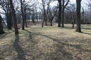 Photo: McIntosh Woods State Park