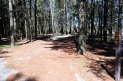 Photo: 002, Maquoketa Caves Campground