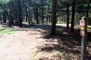 Photo: 015, Maquoketa Caves Campground