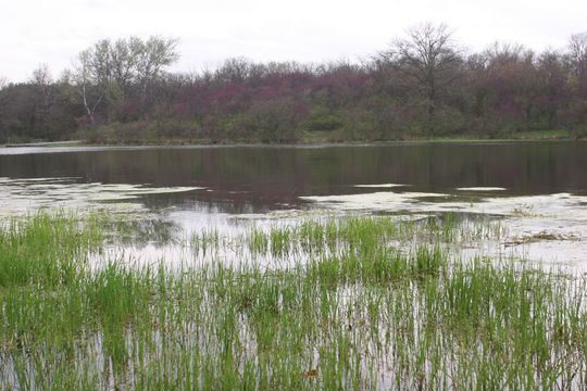 Escape to Iowa's Red Haw State Park: Where Nature's Beauty Meets Adventure