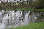 Photo: Red Haw State Park