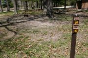 Photo: 050, Pikes Peak Campground