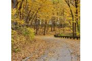 Photo: Bellevue State Park