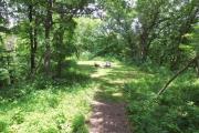 Photo: 085, Ledges Campground