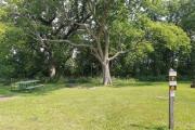 Photo: 8, Lake Anita Campground