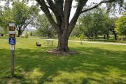 Photo: 15, Lake Anita Campground