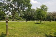 Photo: 25, Lake Anita Campground