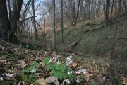 Photo: Elk Rock State Park