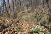 Photo: Elk Rock State Park