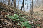 Photo: Elk Rock State Park