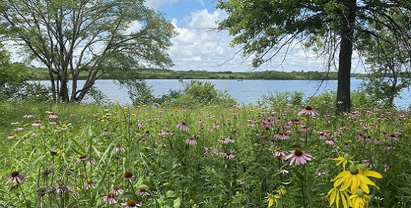 Your donation will support and maintain the parks you love.