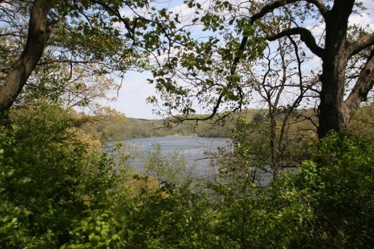 Campground Details - Pine Lake State Park, IA - Iowa State Parks