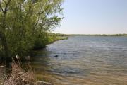 Escape to Serenity: Your Guide to Iowa's Pleasant Creek State Park